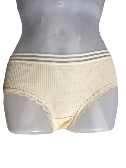 Shapyfy Super Comfy Seamless Women’s Panty | Skin Friendly Elastics | Mid Rise | Soft Material | Netted Elastic | Size: S & M