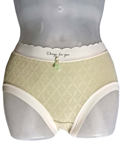 Shapyfy Super Comfy Seamless Women’s Panty with Lace Detailings | Free Size