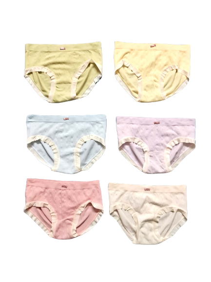 Shapyfy Super Comfy Seamless Women’s Panty | Soft Material | Everyday Wear | Free Size | Mid Rise